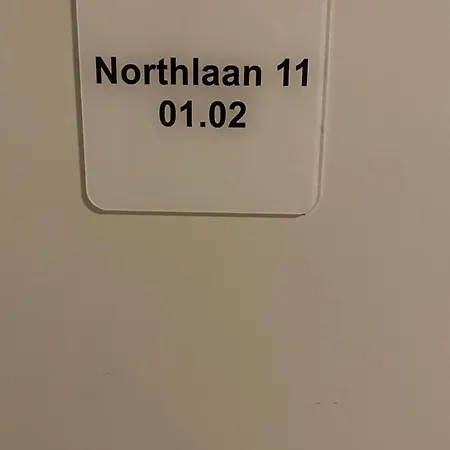 Mazee * オステンド